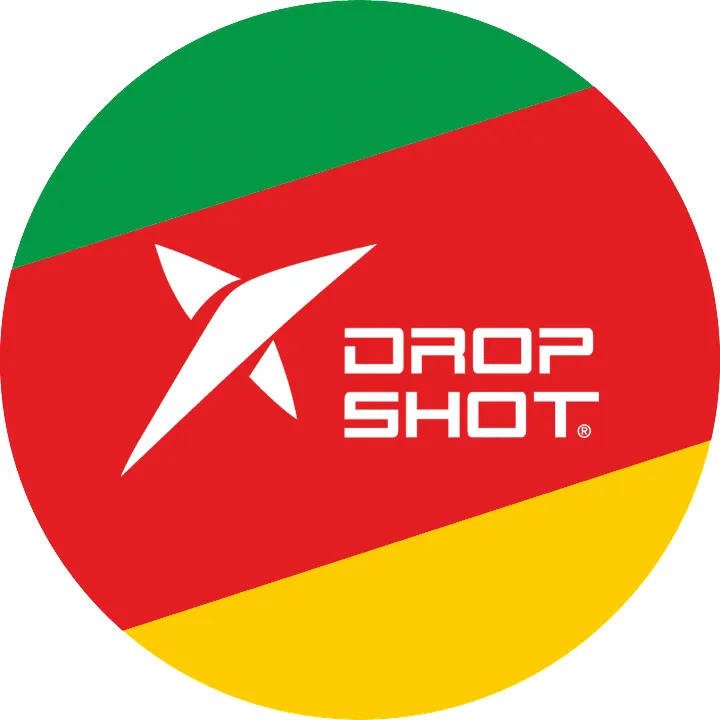 droppronto_logo